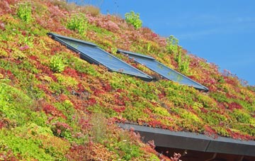 Lower Strensham living roof systems