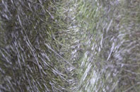 Lower Strensham fibreglass roof work